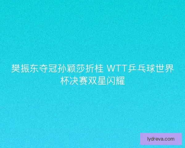 樊振东夺冠孙颖莎折桂 WTT乒乓球世界杯决赛双星闪耀